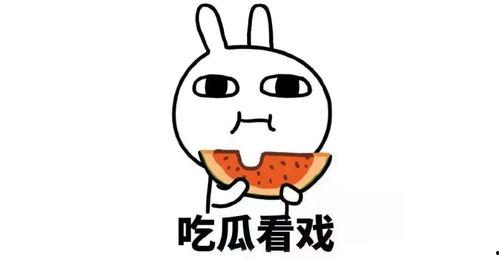 离谱副业娱乐吃瓜酱,娱乐吃瓜酱带你领略副业界的趣味与疯狂